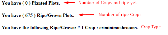 3_crops-it-stats